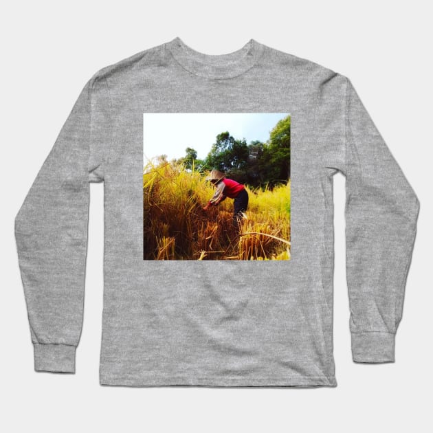 harvesting rice on the fields Long Sleeve T-Shirt by hypocrite human